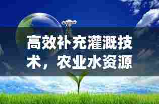 高效补充灌溉技术，农业水资源管理的创新之道