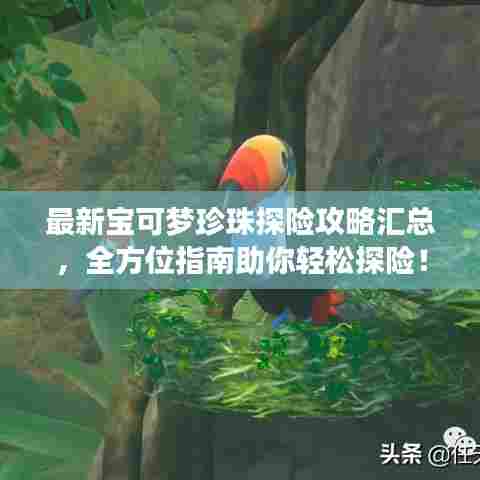 最新宝可梦珍珠探险攻略汇总，全方位指南助你轻松探险！