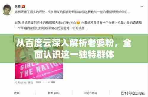 从百度云深入解析老婆粉，全面认识这一独特群体