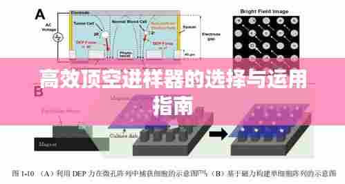 高效顶空进样器的选择与运用指南