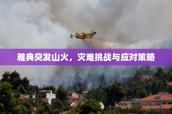 随圆就方 第7页