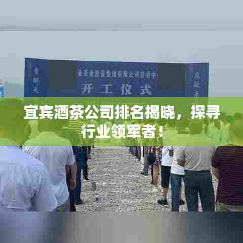 宜宾酒茶公司排名揭晓，探寻行业领军者！