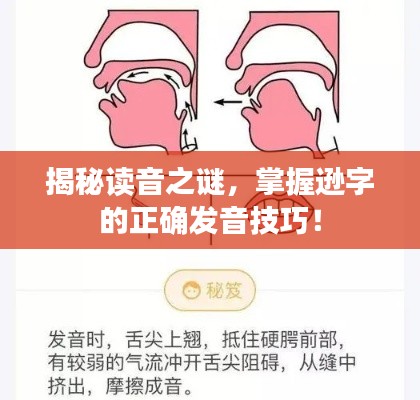 揭秘读音之谜，掌握逊字的正确发音技巧！