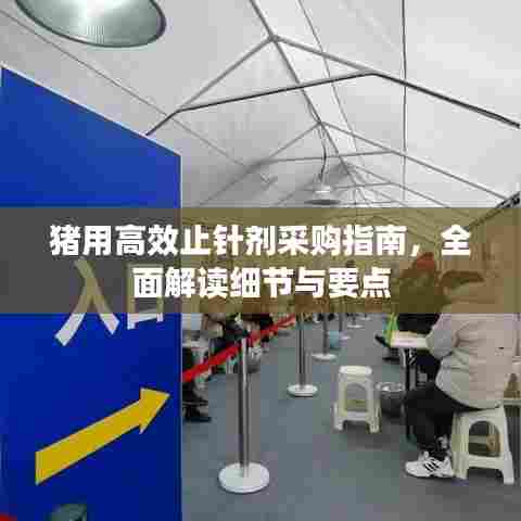 猪用高效止针剂采购指南,全面解读细节与要点