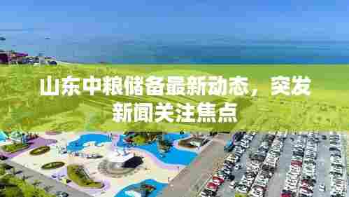 山东中粮储备最新动态，突发新闻关注焦点