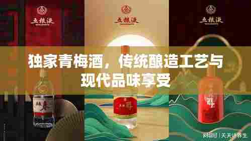 独家青梅酒，传统酿造工艺与现代品味享受