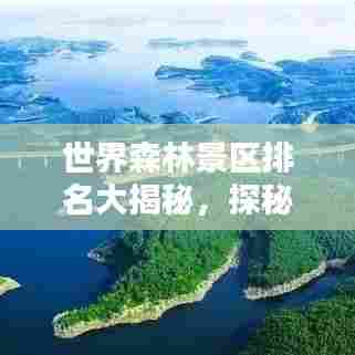世界森林景区排名大揭秘，探秘全球最大森林景区榜单！