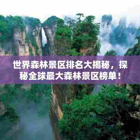 世界森林景区排名大揭秘,探秘全球最大森林景区榜单!