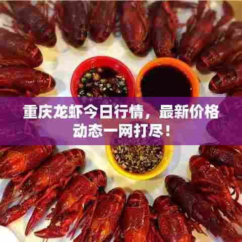 重庆龙虾今日行情，最新价格动态一网打尽！