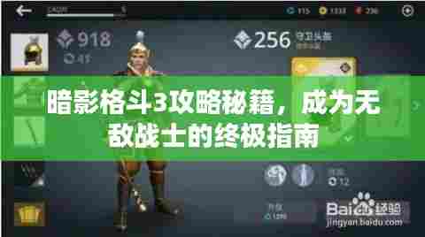 暗影格斗3攻略秘籍,成为无敌战士的终极指南