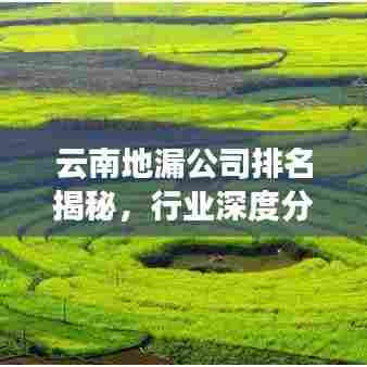 云南地漏公司排名揭秘，行业深度分析与趋势预测