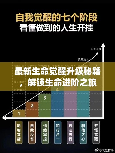 最新生命觉醒升级秘籍,解锁生命进阶之旅
