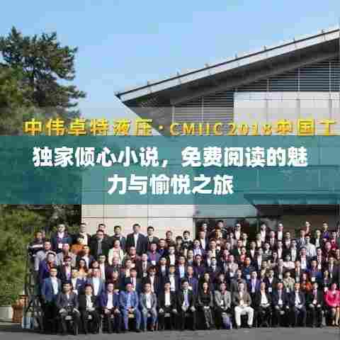 独家倾心小说，免费阅读的魅力与愉悦之旅
