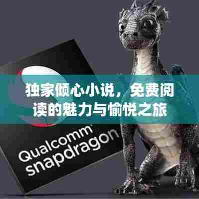 独家倾心小说,免费阅读的魅力与愉悦之旅
