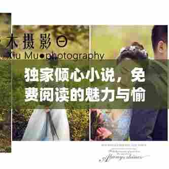独家倾心小说,免费阅读的魅力与愉悦之旅