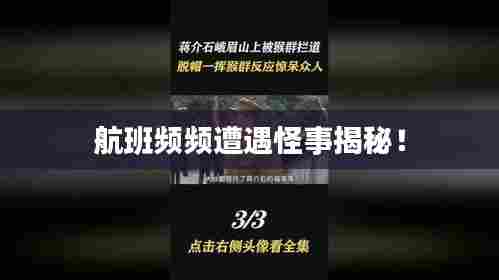 航班频频遭遇怪事揭秘!