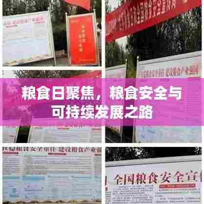 粮食日聚焦，粮食安全与可持续发展之路