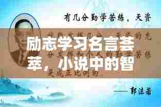 励志学习名言荟萃,小说中的智慧启示