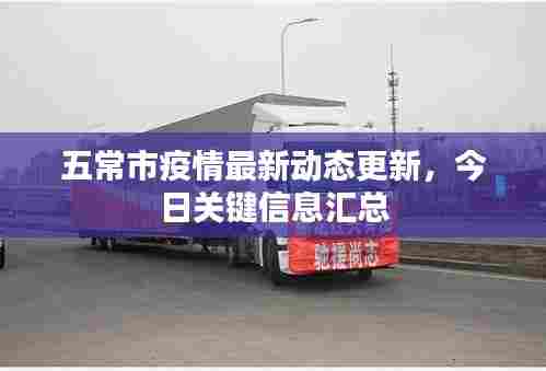 五常市疫情最新动态更新,今日关键信息汇总