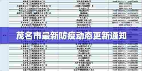 茂名市最新防疫动态更新通知