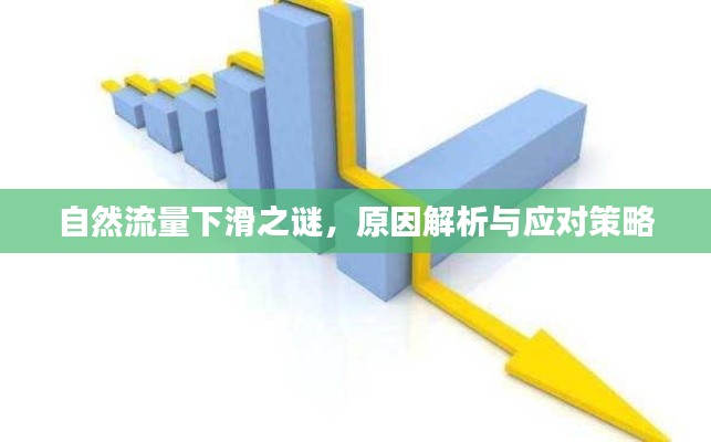 自然流量下滑之谜，原因解析与应对策略