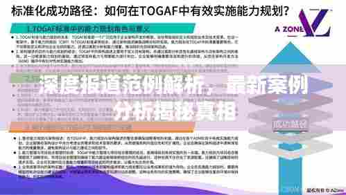 深度报道范例解析，最新案例分析揭秘真相