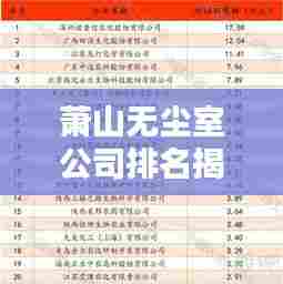萧山无尘室公司排名揭晓，行业影响力揭秘