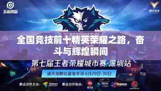 全国竞技前十精英荣耀之路，奋斗与辉煌瞬间