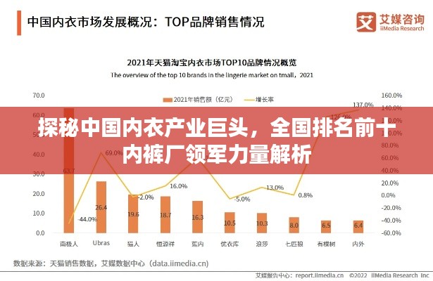 探秘中国内衣产业巨头,全国排名前十内裤厂领军力量解析