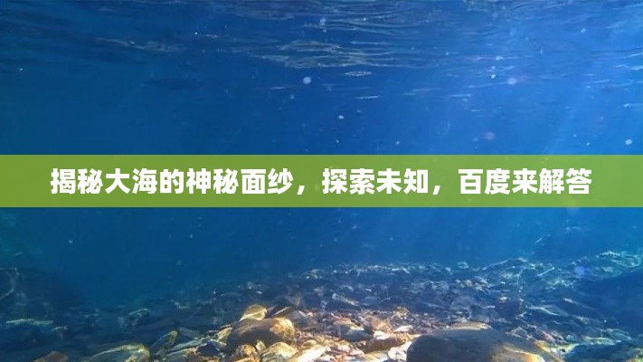 揭秘大海的神秘面纱，探索未知，百度来解答