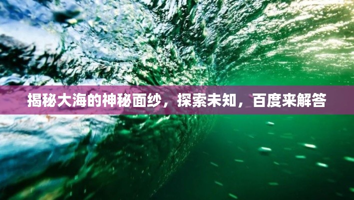 揭秘大海的神秘面纱,探索未知,百度来解答