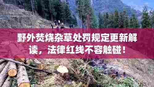 野外焚烧杂草处罚规定更新解读，法律红线不容触碰！