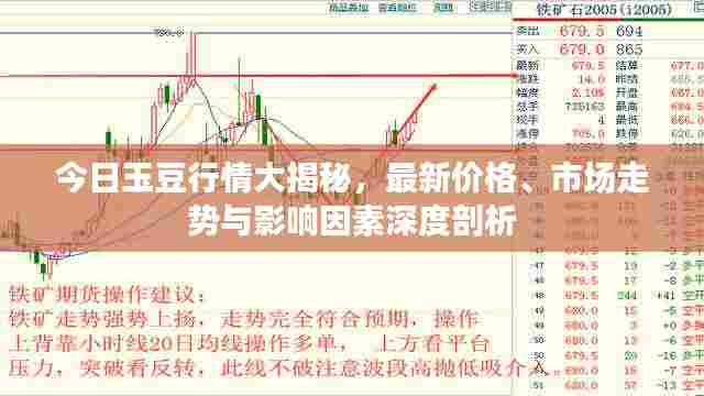 今日玉豆行情大揭秘，最新价格、市场走势与影响因素深度剖析