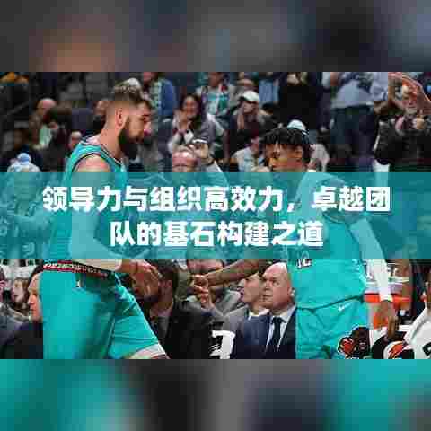 领导力与组织高效力,卓越团队的基石构建之道
