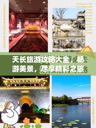 轻飞曼舞 第7页