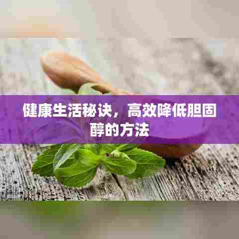 健康生活秘诀，高效降低胆固醇的方法