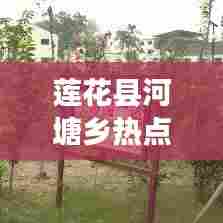 莲花县河塘乡热点新闻速递