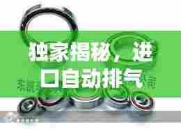 独家揭秘,进口自动排气阀公司排名榜单,权威榜单不容错过!