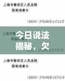 今日说法揭秘,欠条的最新解读与处理策略