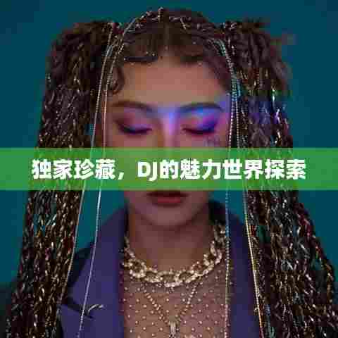 独家珍藏，DJ的魅力世界探索