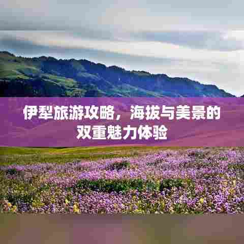 伊犁旅游攻略，海拔与美景的双重魅力体验