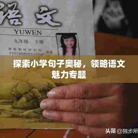 探索小学句子奥秘，领略语文魅力专题