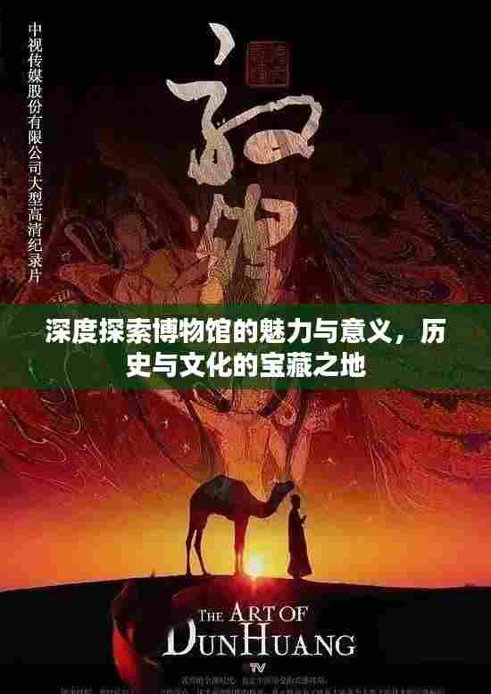 深度探索博物馆的魅力与意义,历史与文化的宝藏之地