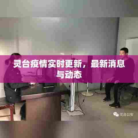 灵台疫情实时更新,最新消息与动态