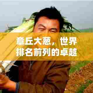 章丘大葱,世界排名前列的卓越品质,探秘其独特魅力!