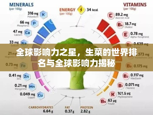 全球影响力之星,生菜的世界排名与全球影响力揭秘