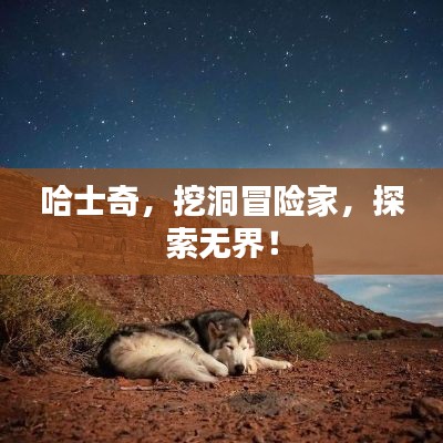 哈士奇,挖洞冒险家,探索无界!