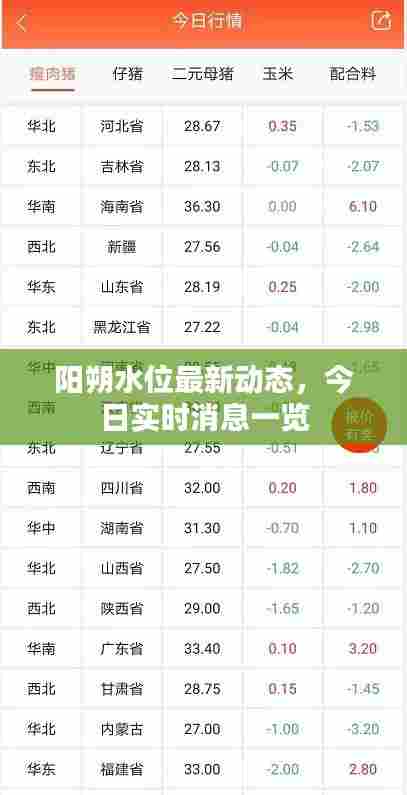 阳朔水位最新动态,今日实时消息一览