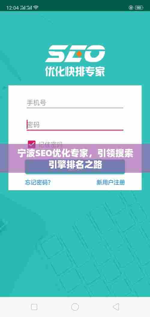 宁波SEO优化专家,引领搜索引擎排名之路