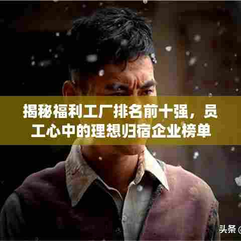 揭秘福利工厂排名前十强，员工心中的理想归宿企业榜单